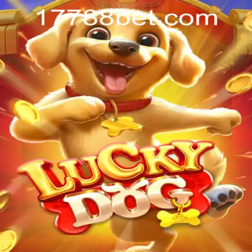 Explore the Exciting Features of LuckyDog: A Guide to Gameplay and Strategies