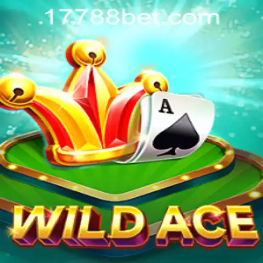 Exploring the Thrilling World of WildAce: Rules and Gameplay